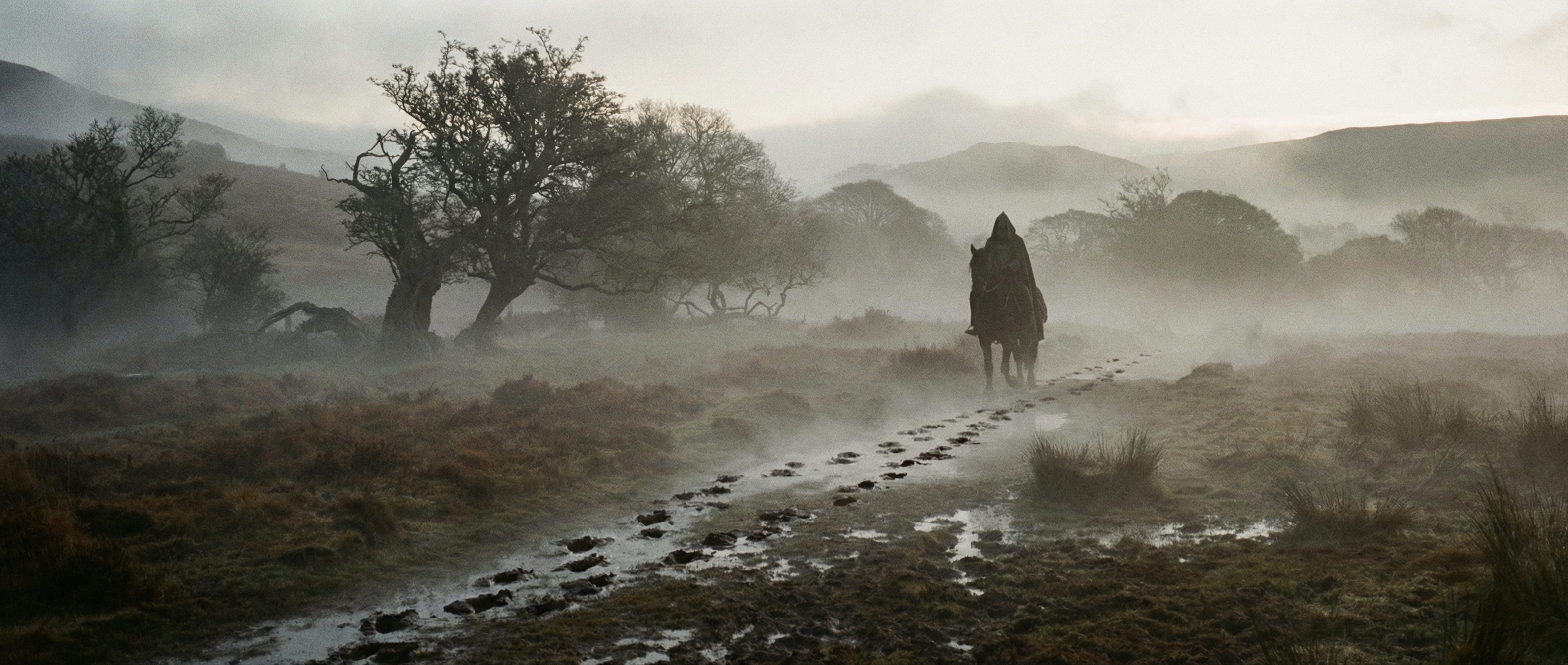 Hoof prints in fog